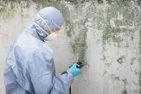 Asbestos and Lead Testing During Mold Inspection in Laguna Heights, TX